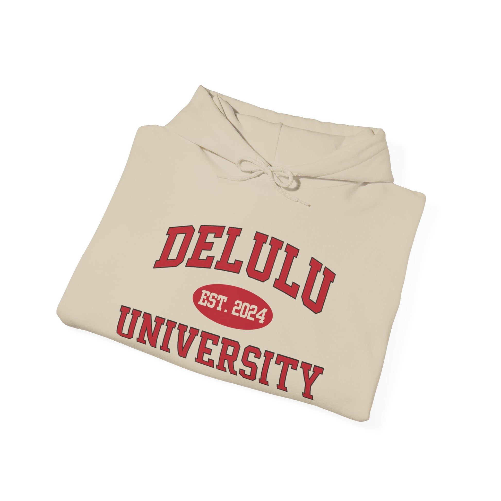 Delulu University Hoodie – Enroll in Chaos, Graduate in Vibes, combining comfort and humor in this essential funny college hoodie.