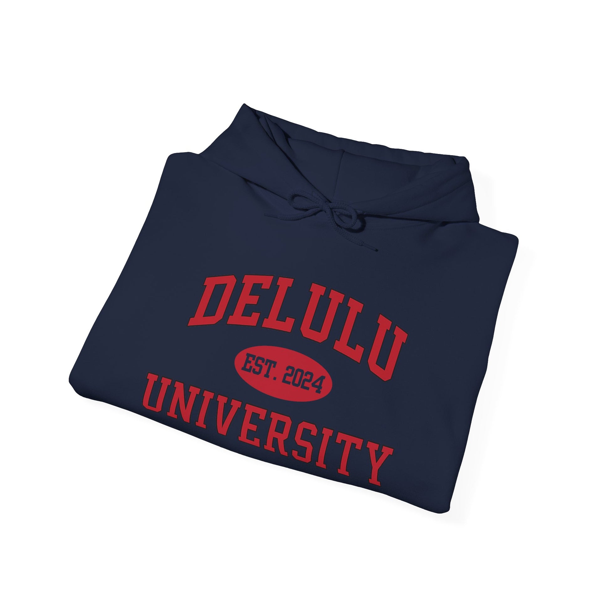 Delulu University Hoodie – Enroll in Chaos, Graduate in Vibes, an ideal funny college hoodie that captures the vibe of modern academia.