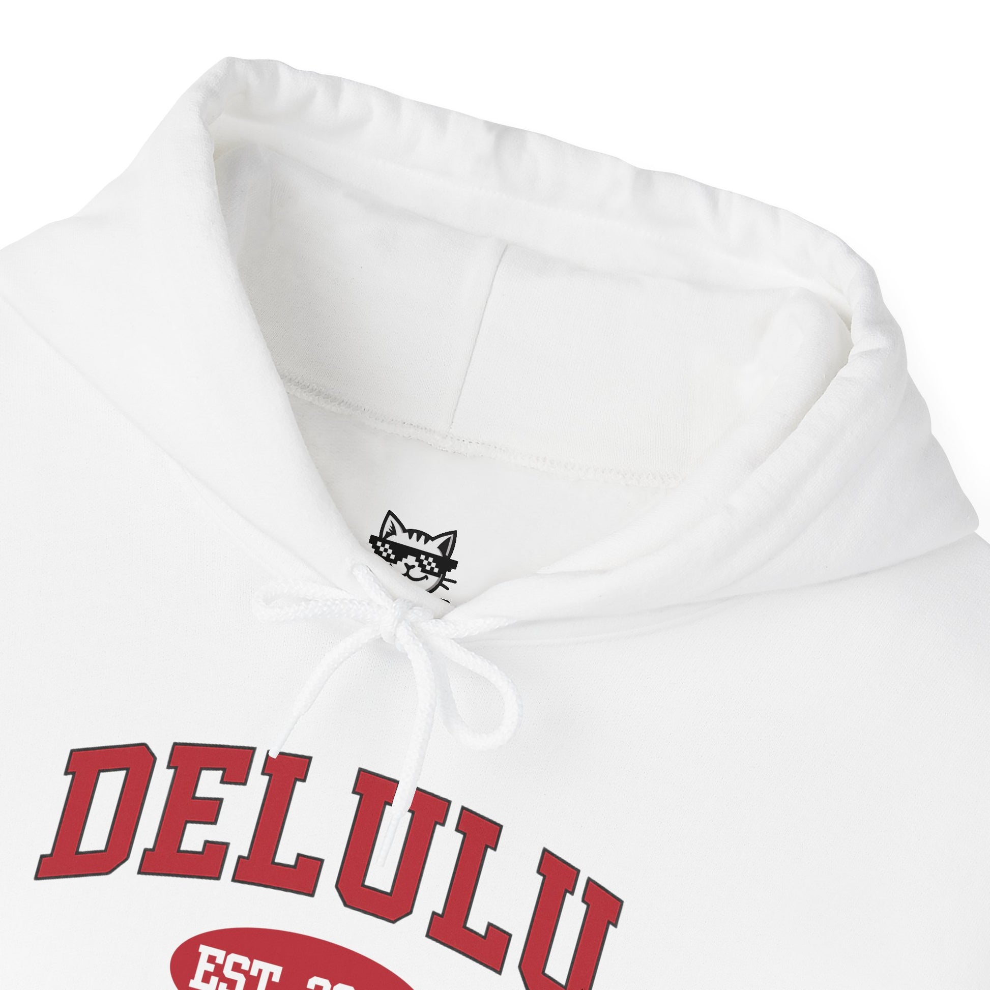 Delulu University Hoodie – Enroll in Chaos, Graduate in Vibes, a funny college hoodie designed for situationship survivors.