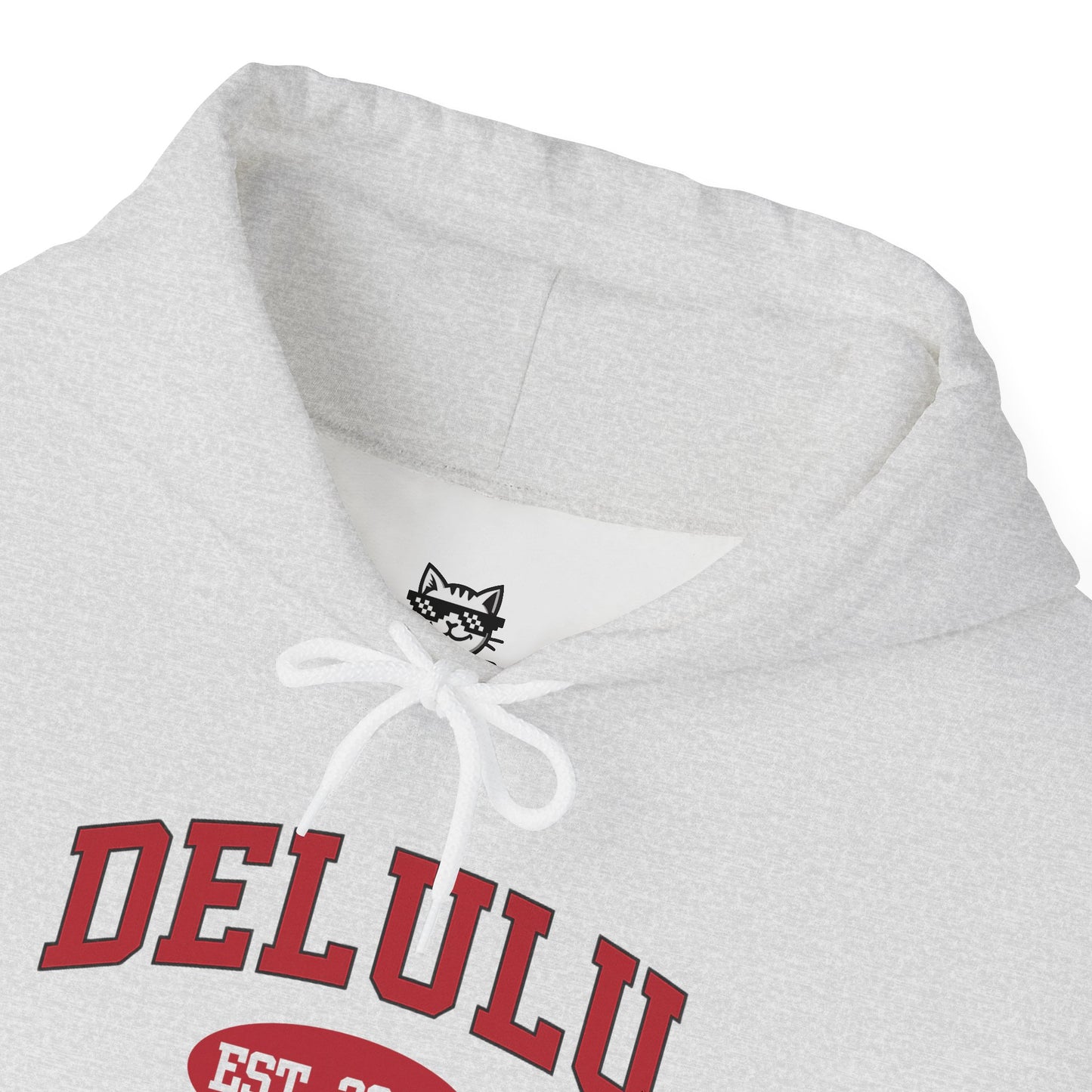 Delulu University Hoodie – Enroll in Chaos, Graduate in Vibes, featuring a whimsical design that makes it a funny college hoodie.