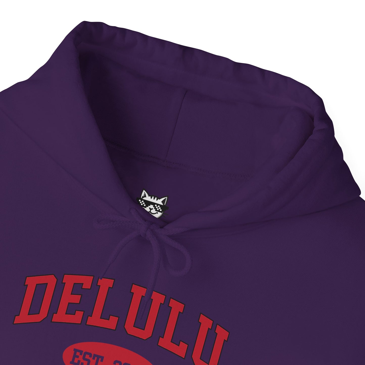 Delulu University Hoodie – Enroll in Chaos, Graduate in Vibes, this funny college hoodie blends comfort and style for campus life.