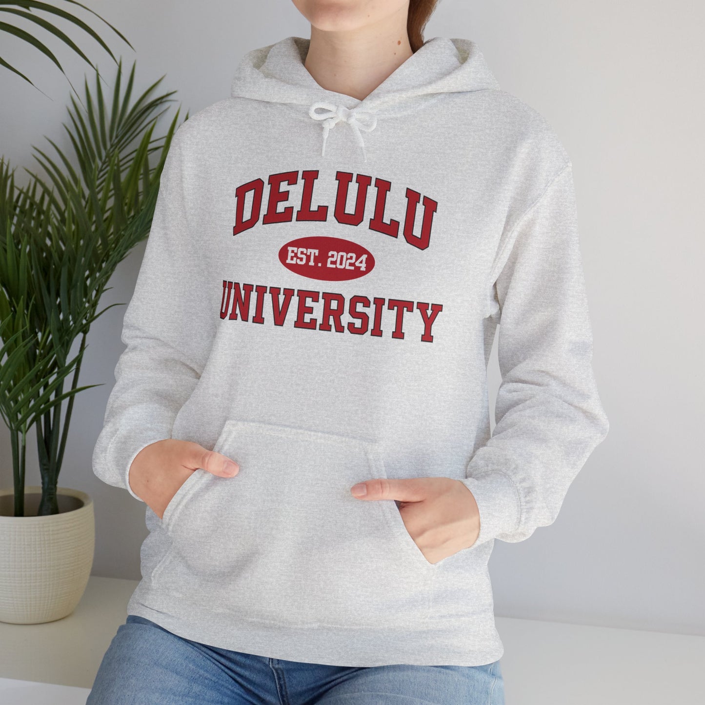 Delulu University Hoodie – Enroll in Chaos, Graduate in Vibes, an ideal funny college hoodie for students navigating their dreams.