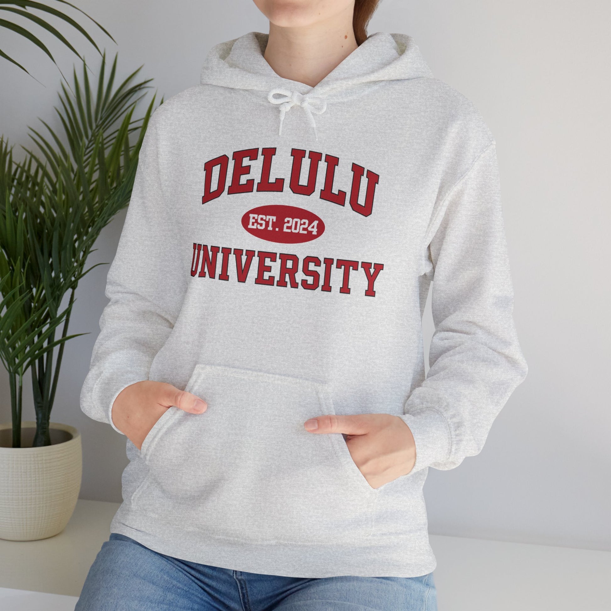 Delulu University Hoodie – Enroll in Chaos, Graduate in Vibes, an ideal funny college hoodie for students navigating their dreams.