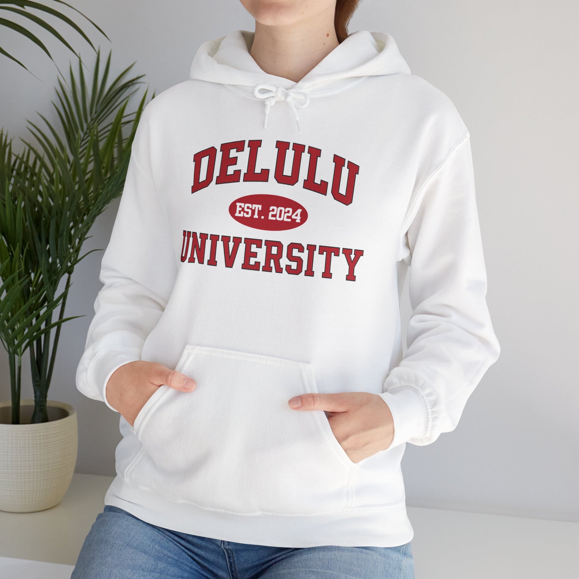 Delulu University Hoodie – Enroll in Chaos, Graduate in Vibes, a cozy and funny college hoodie for all your imaginary adventures.