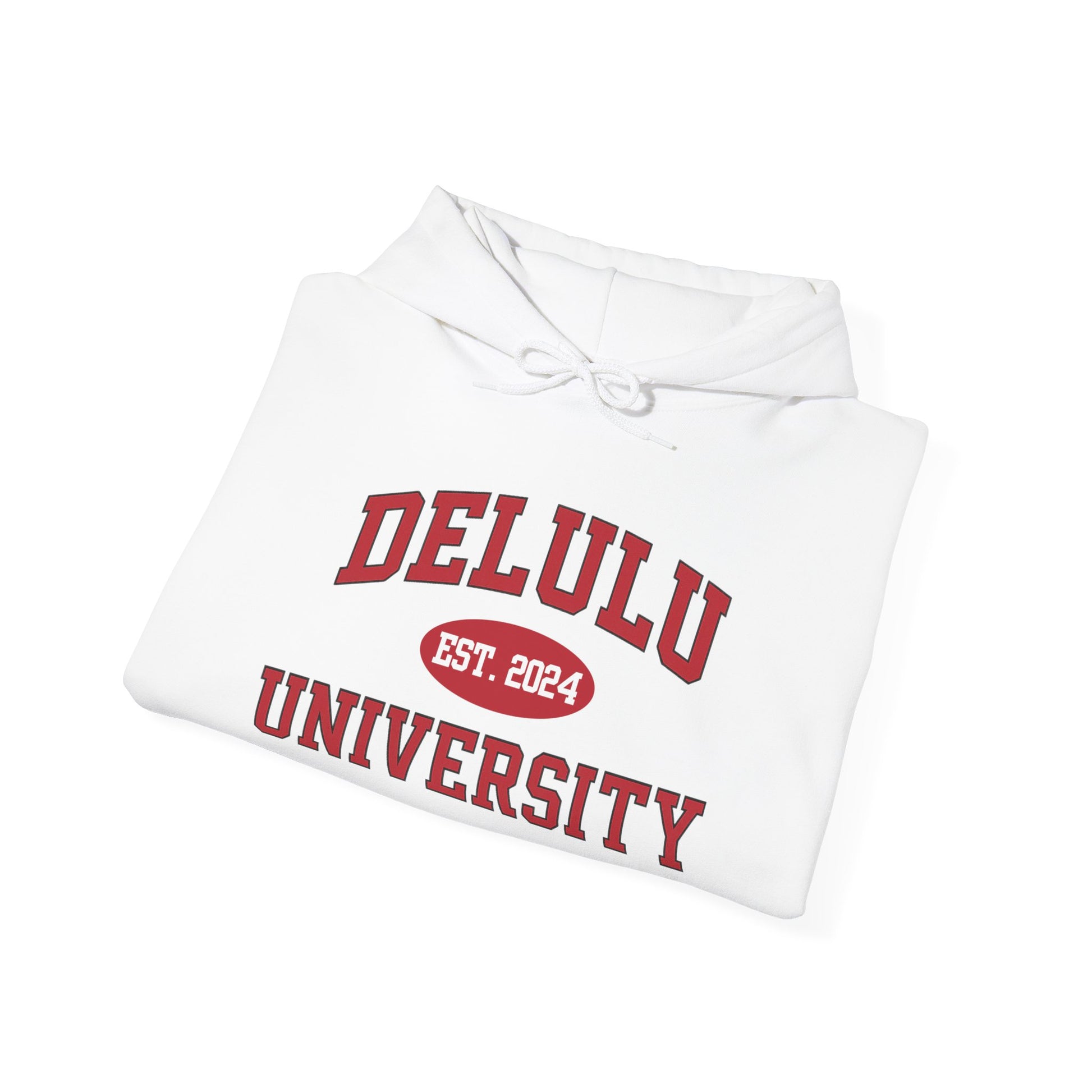 Delulu University Hoodie – Enroll in Chaos, Graduate in Vibes, this funny college hoodie is perfect for romanticizing your flop era.