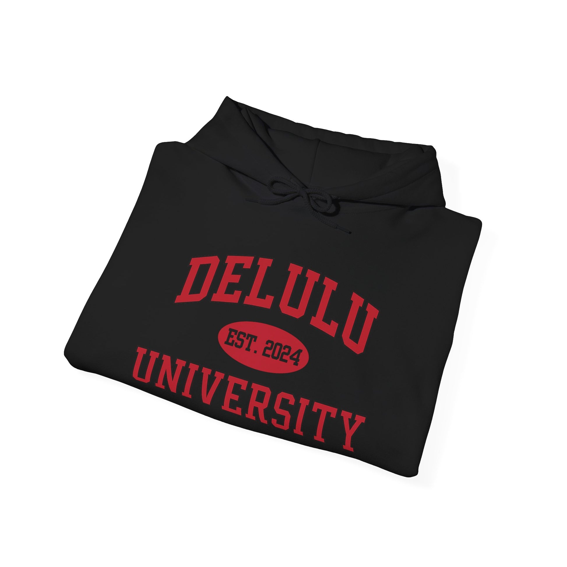 Delulu University Hoodie – Enroll in Chaos, Graduate in Vibes, this funny college hoodie represents the essence of delulu excellence.
