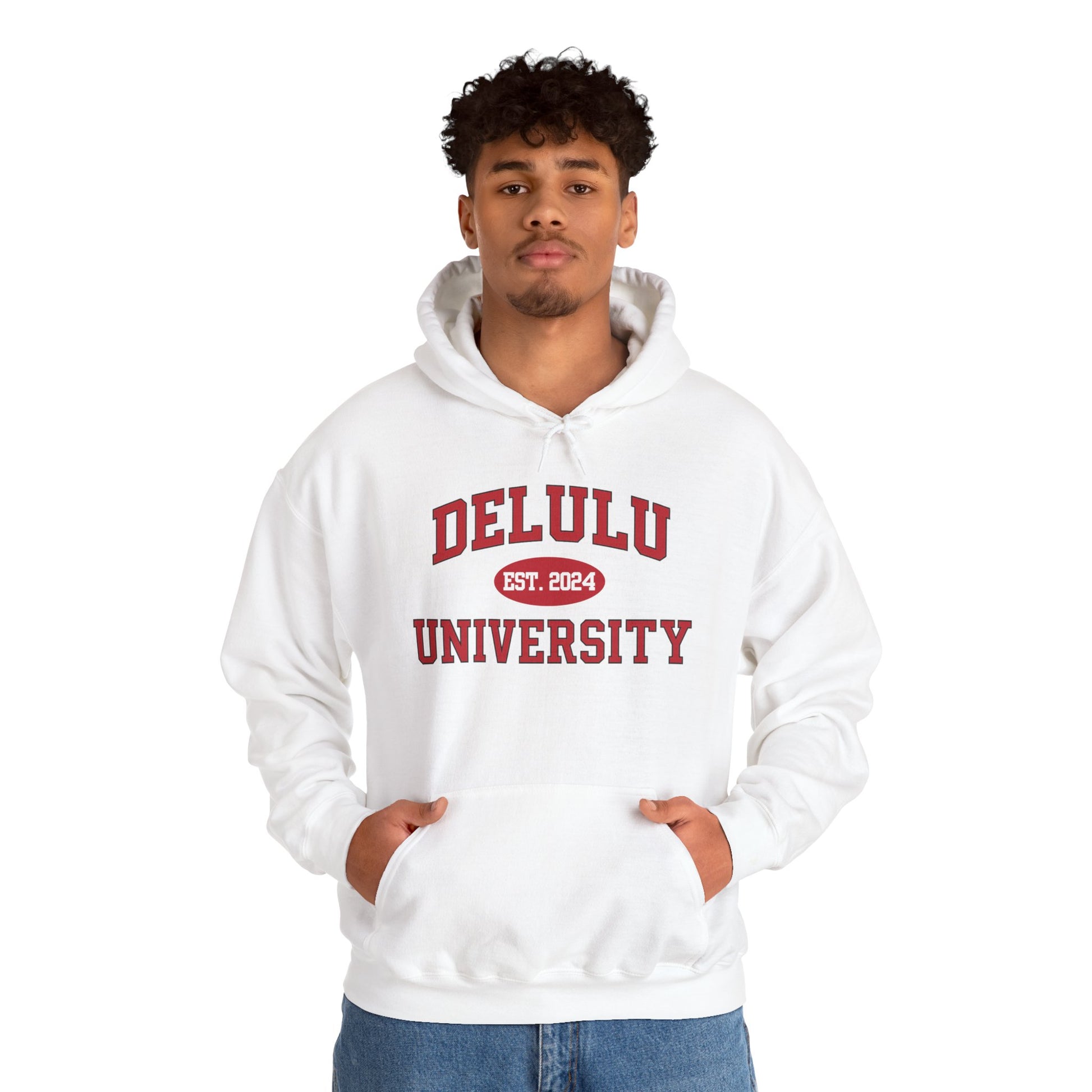 Delulu University Hoodie – Enroll in Chaos, Graduate in Vibes, showcasing a playful take on college life in this funny college hoodie.