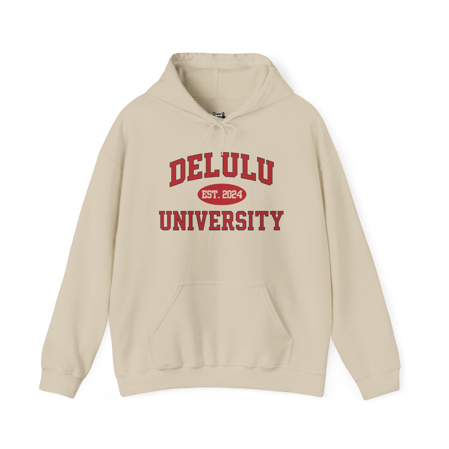 Delulu University Hoodie – Enroll in Chaos, Graduate in Vibes, a stylish and funny college hoodie for embracing the delulu spirit.