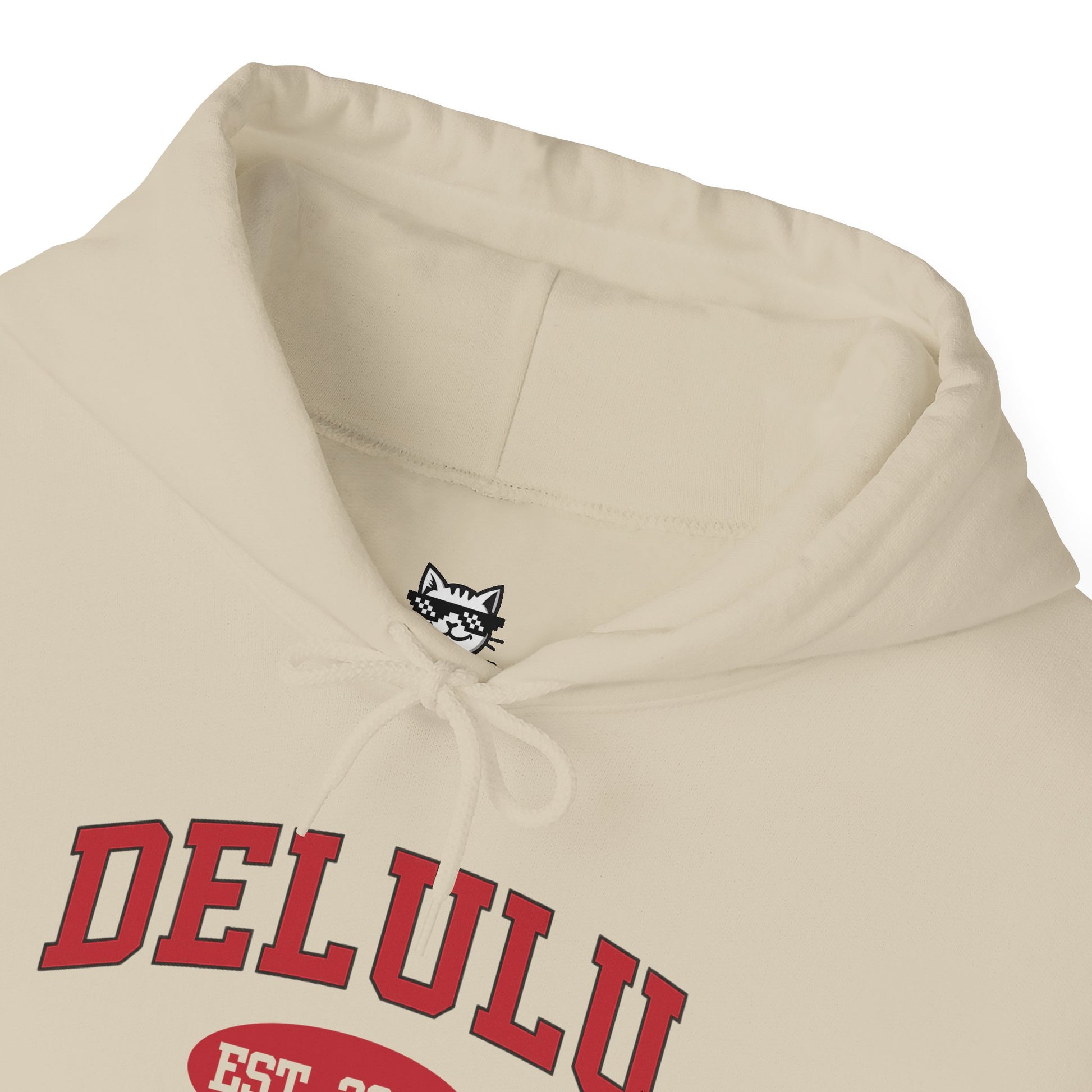 Delulu University Hoodie – Enroll in Chaos, Graduate in Vibes, showcasing a quirky and funny college hoodie for moments of delusion.
