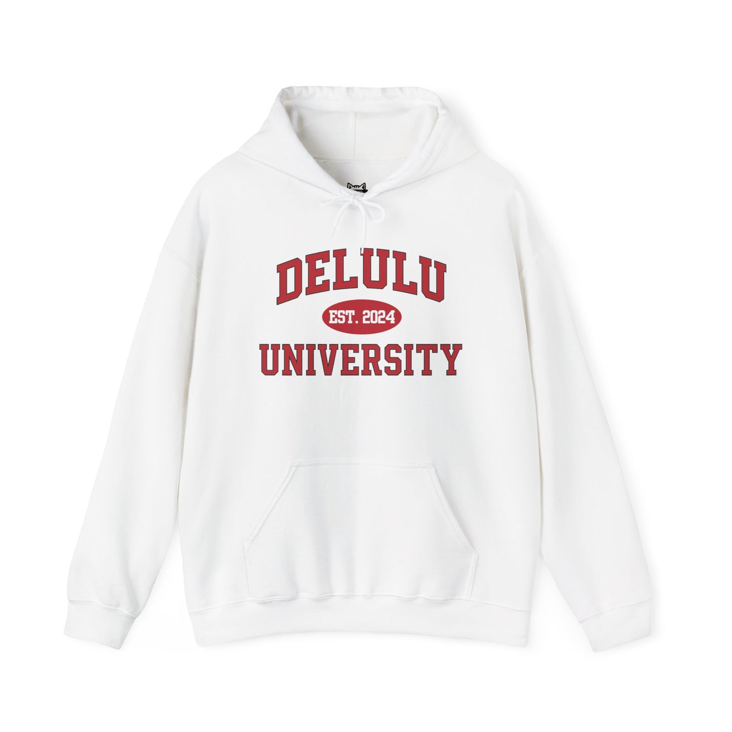 Delulu University Hoodie – Enroll in Chaos, Graduate in Vibes, a funny college hoodie perfect for majoring in unbothered and minor in manifestation.