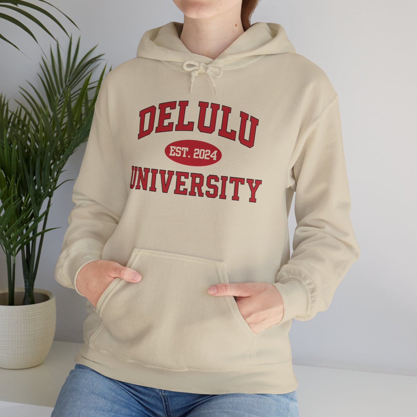 Delulu University Hoodie – Enroll in Chaos, Graduate in Vibes, a humorous statement piece for anyone navigating college chaos.