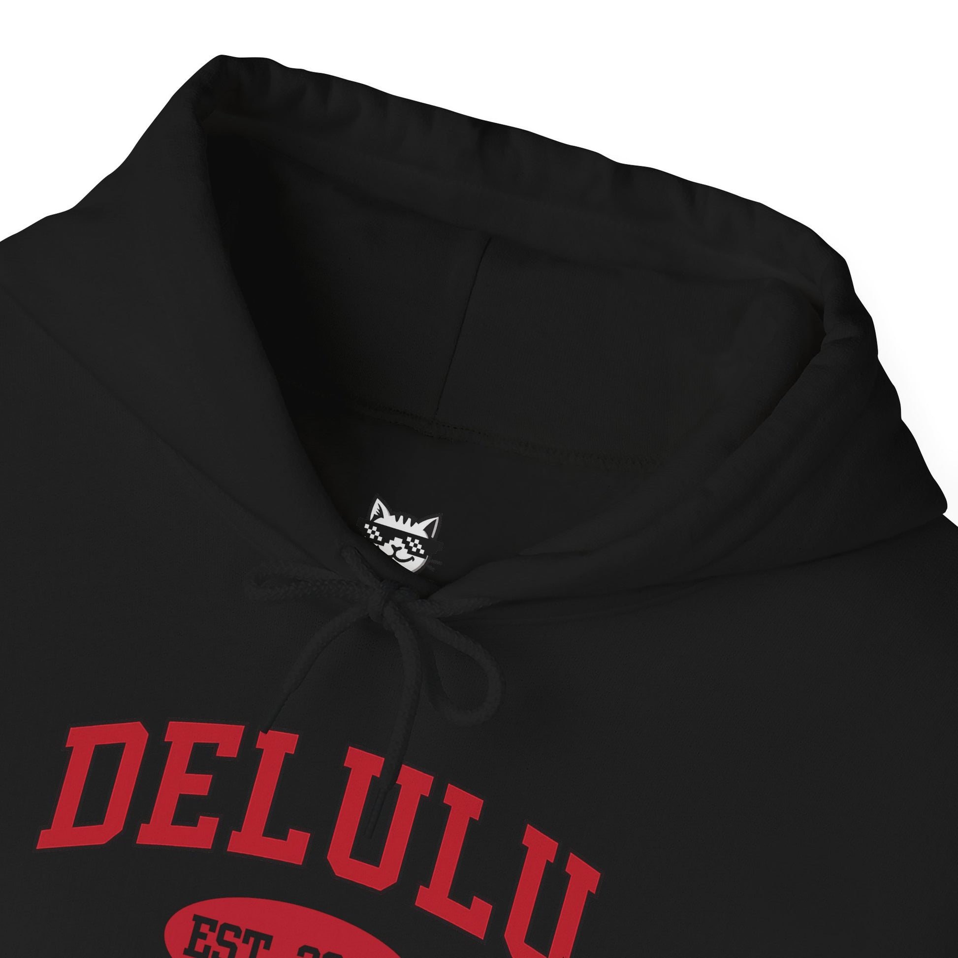 Delulu University Hoodie – Enroll in Chaos, Graduate in Vibes, a humorous take on college attire, serving you major vibes.