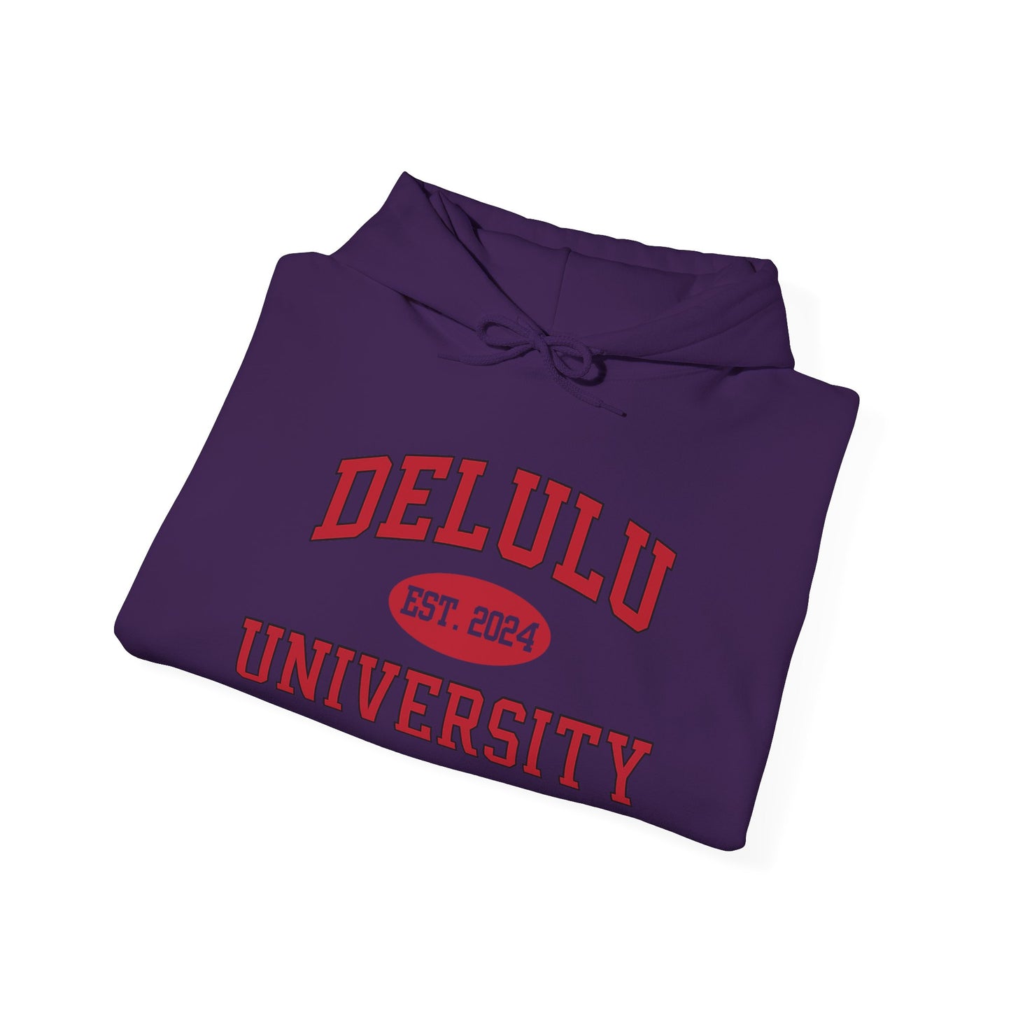 Delulu University Hoodie – Enroll in Chaos, Graduate in Vibes, a humorous college hoodie perfect for those who thrive in chaos.