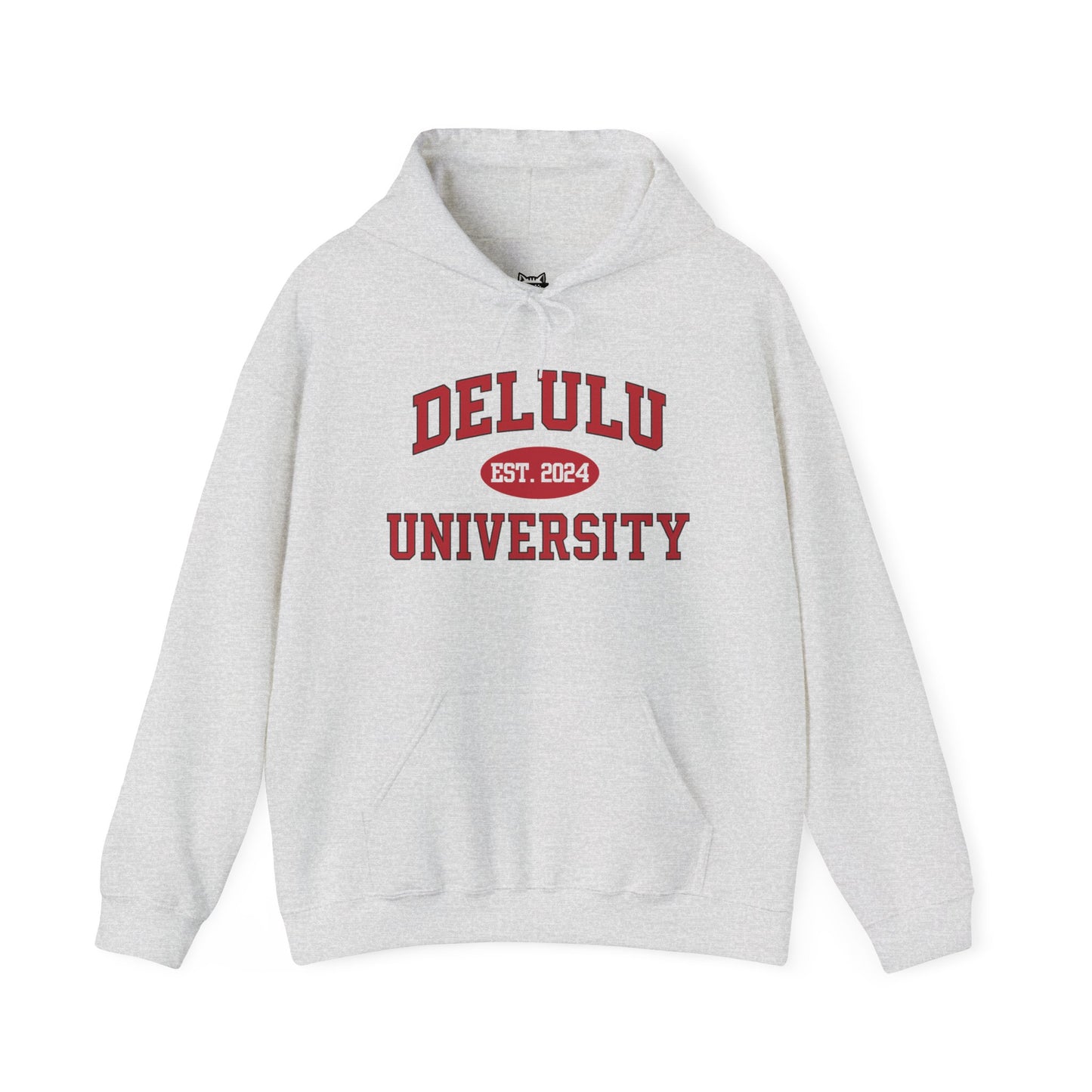 Delulu University Hoodie – Enroll in Chaos, Graduate in Vibes, showcasing a cozy and humorous design ideal for college students.