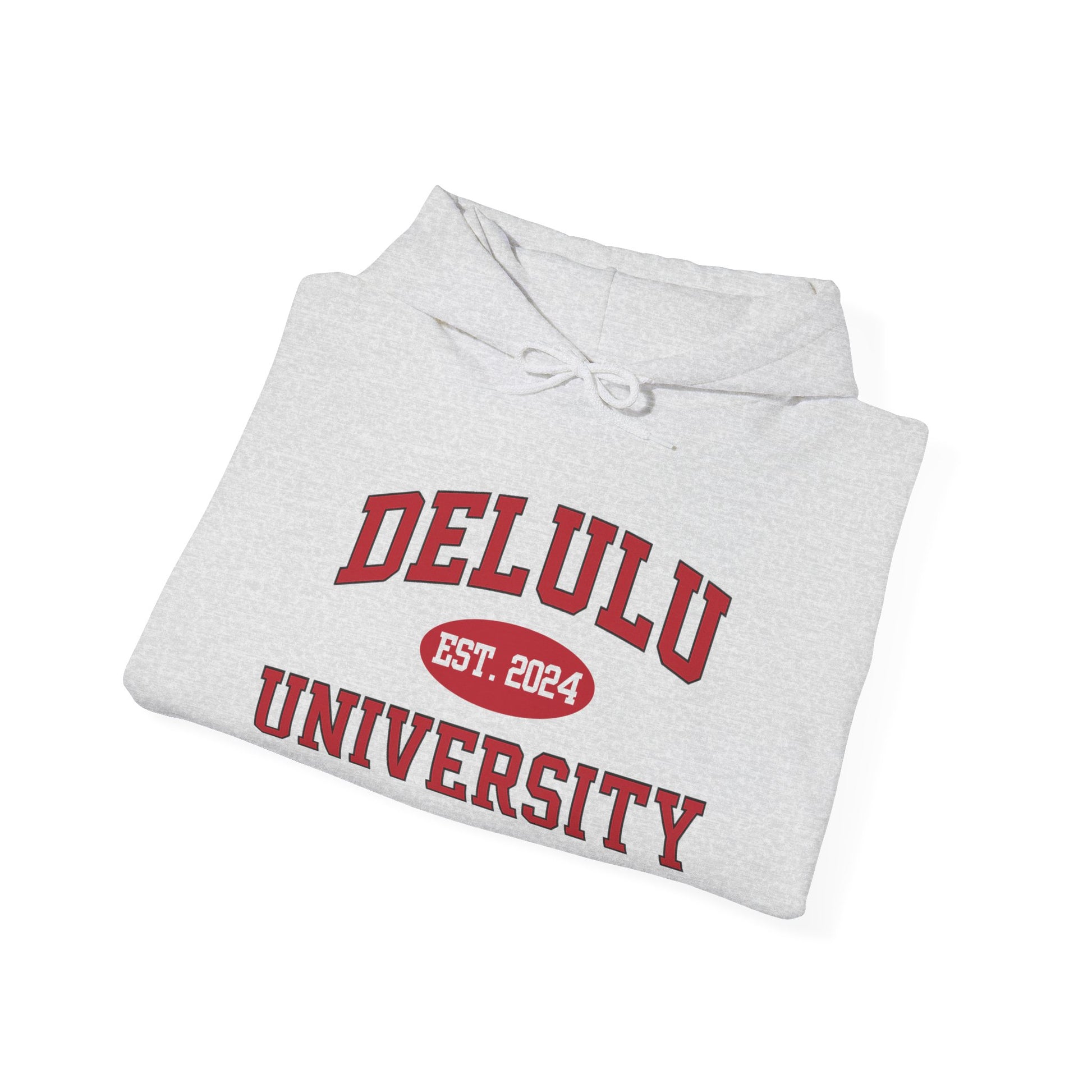Delulu University Hoodie – Enroll in Chaos, Graduate in Vibes, this funny college hoodie is the perfect gift for your emotionally dramatic bestie.