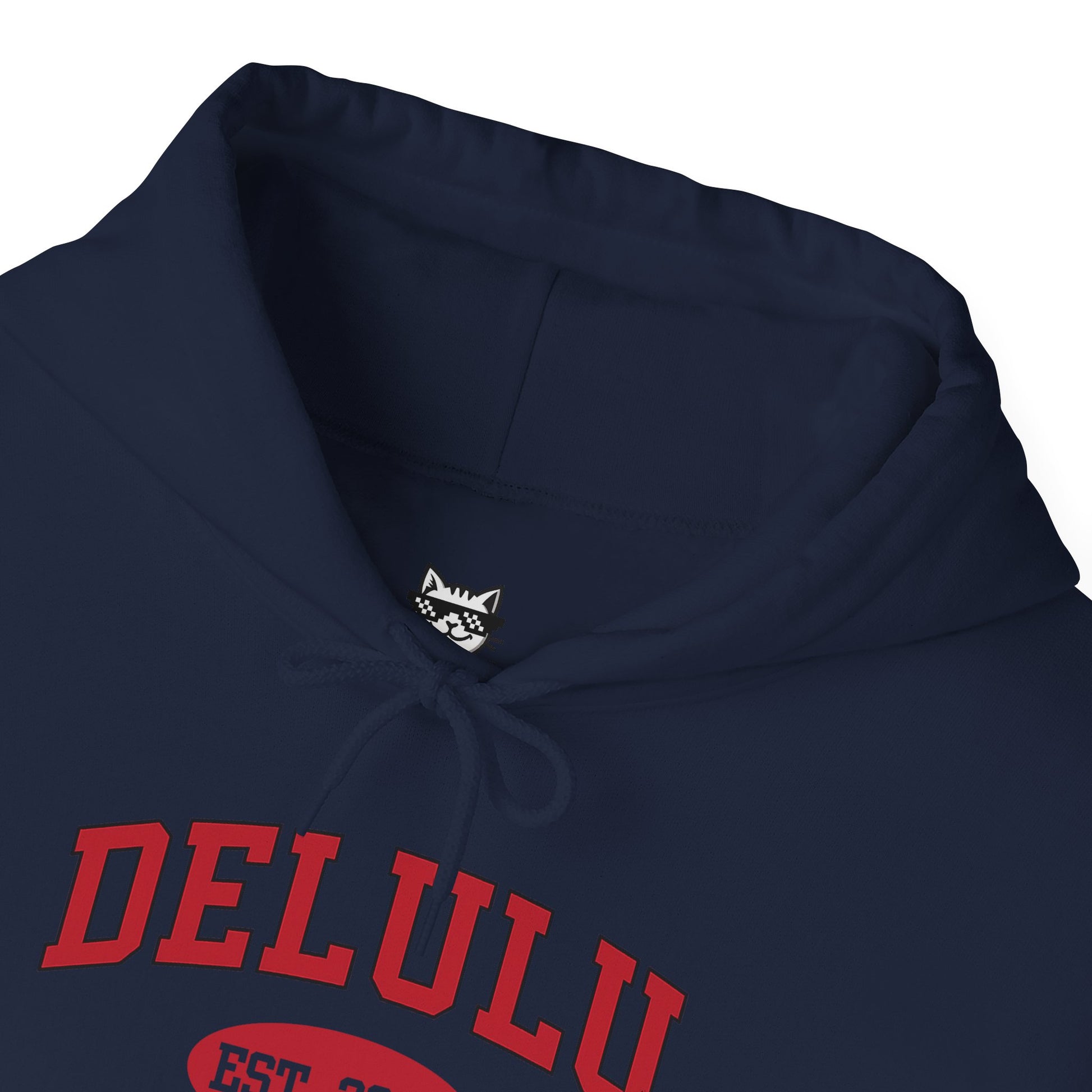 Delulu University Hoodie – Enroll in Chaos, Graduate in Vibes, a light-hearted college hoodie perfect for everyday wear.